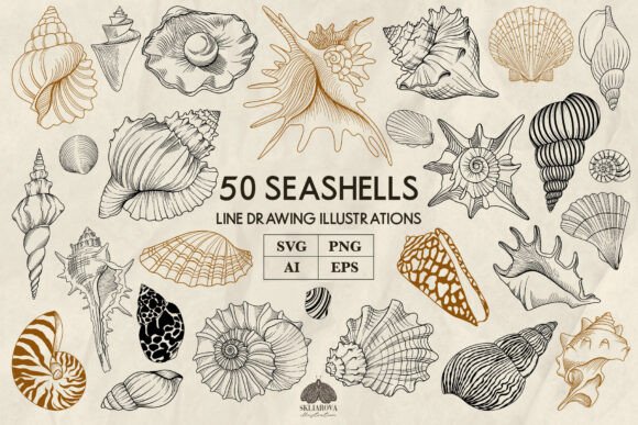 Seaside Line Art: Graphics & Illustrations Review