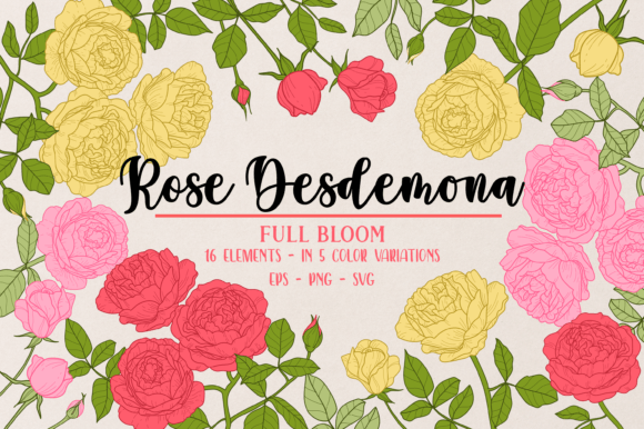 Vector Vintage Desdemona Rose Clipart: Graphics & Illustrations