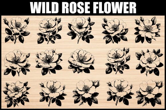 Vintage Wild Rose Flower Bundle: Graphics & Illustrations