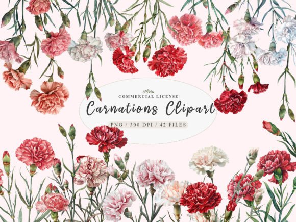 Watercolor Carnation Clipart: Red Flower Graphics & Illustrations
