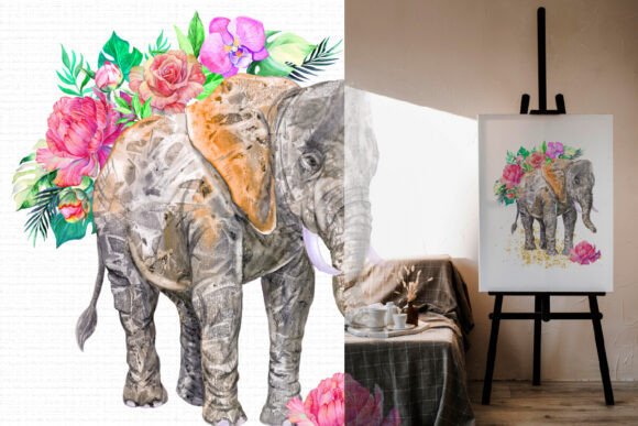 Watercolor Elephant Graphics & Illustrations Review